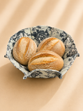 Panera Grande Tela