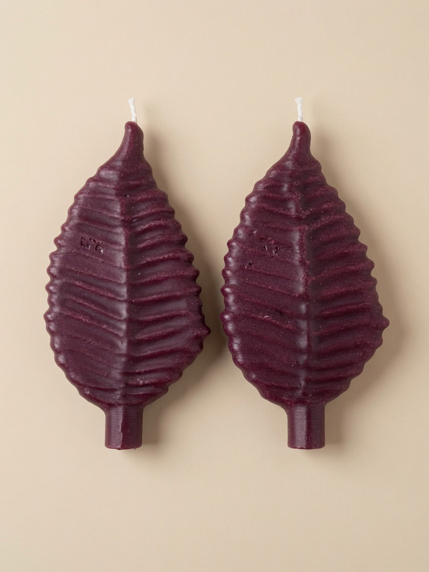 Vela Otoño x2